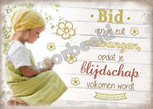 WK Good Seed Cards 8003 | Johannes 16:24