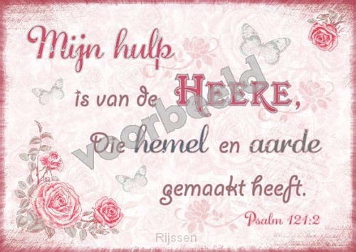 WK Good Seed Cards 8008 | Psalm 121:2