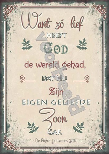 WK Good Seed Cards 8027 | Johannes 3:16