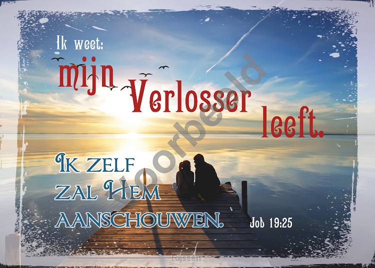 WK Good Seed Cards A8058 | Job 19:25