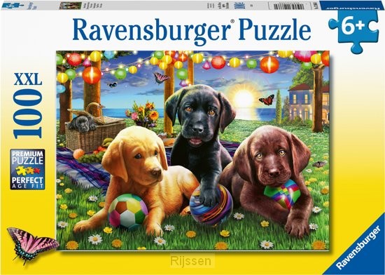 Honden picknick 100 st. XXL
