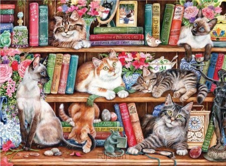 Puss Back in Books 500 XL