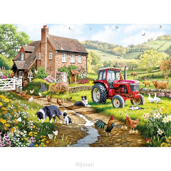 Macneil farm 500 st.