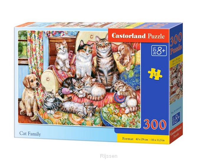 Cat family