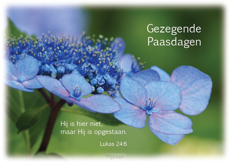 Prentbriefkaart Gezegende Paasdagen
