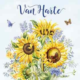 WK Klein - Van harte