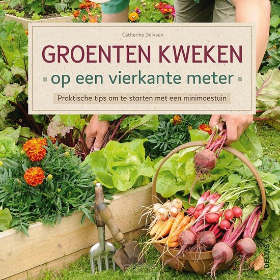 Groenten kweken op een vierkante meter