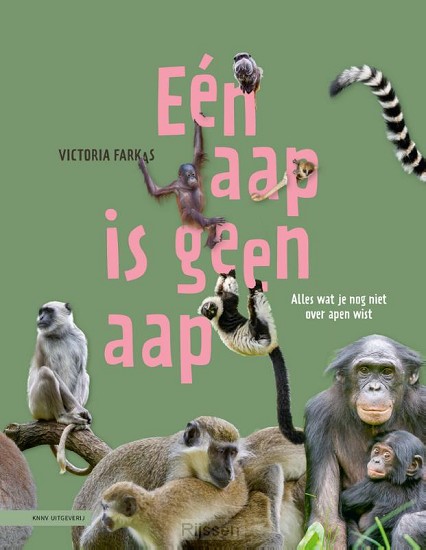 Eén aap is geen aap