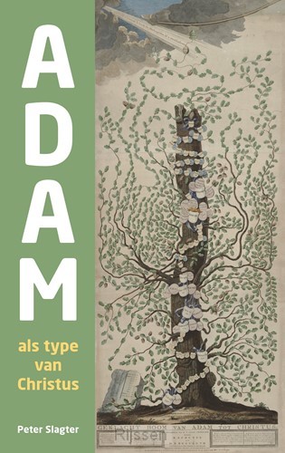 Adam