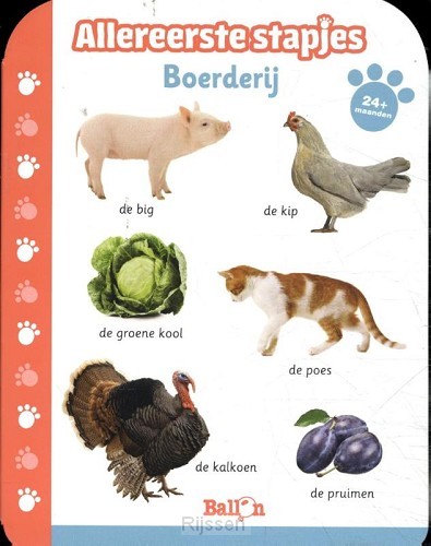 Boerderij varken  1+