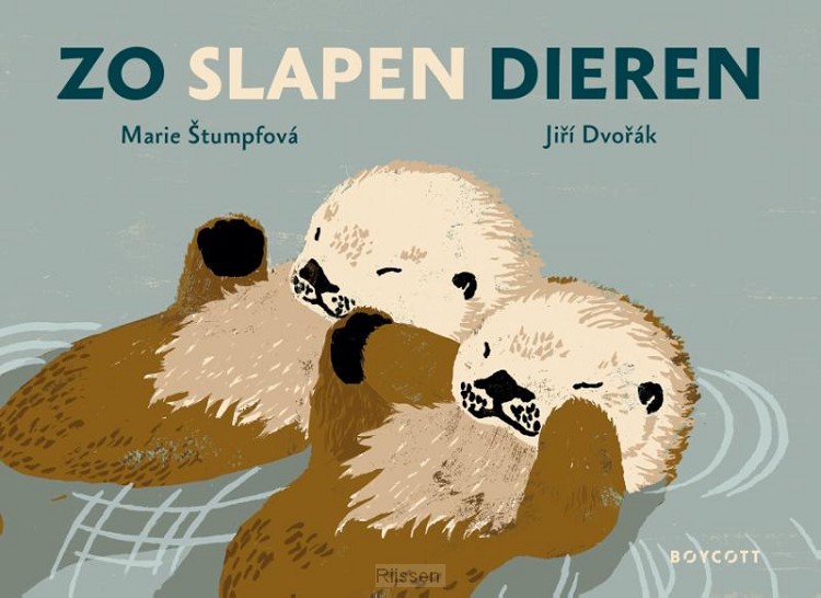 Zo slapen dieren