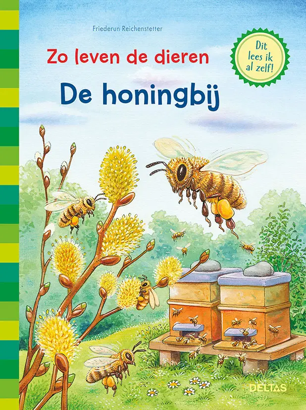 Zo leven de dieren-De honingbij