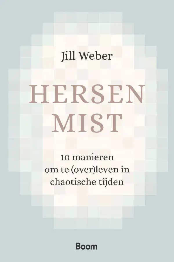 Hersenmist