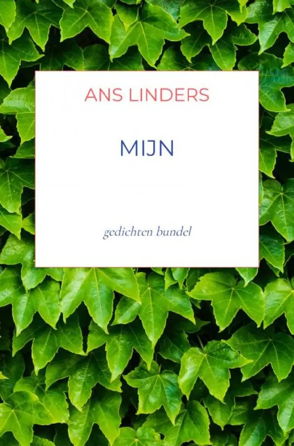 mijn