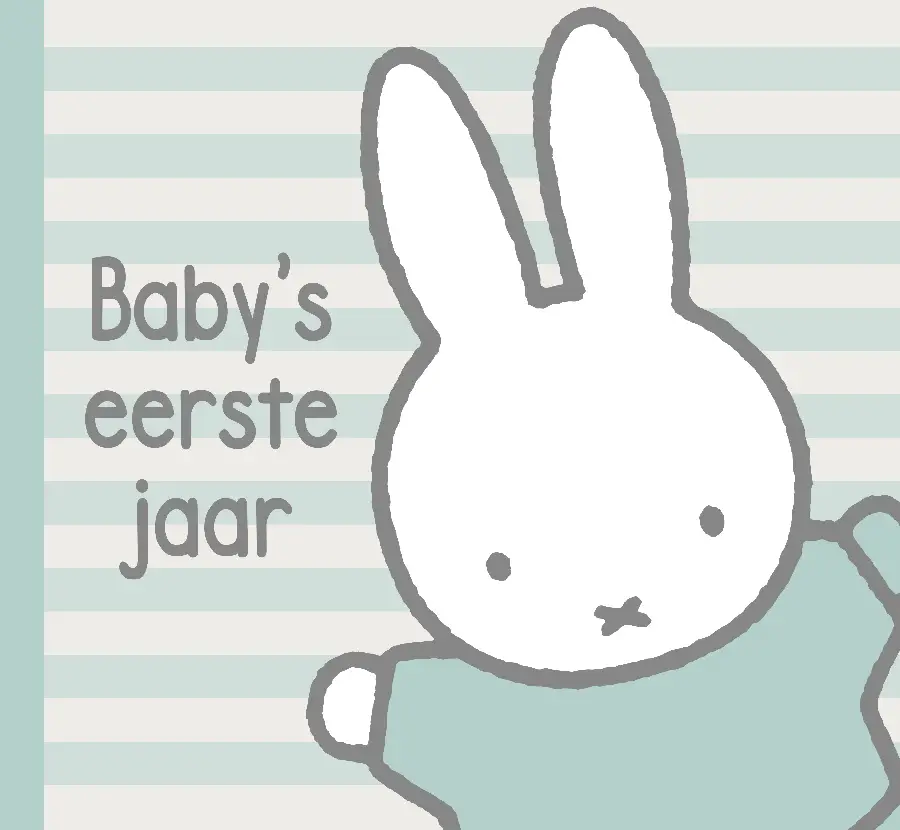 NIJNTJE BABY'S EERSTE JAAR