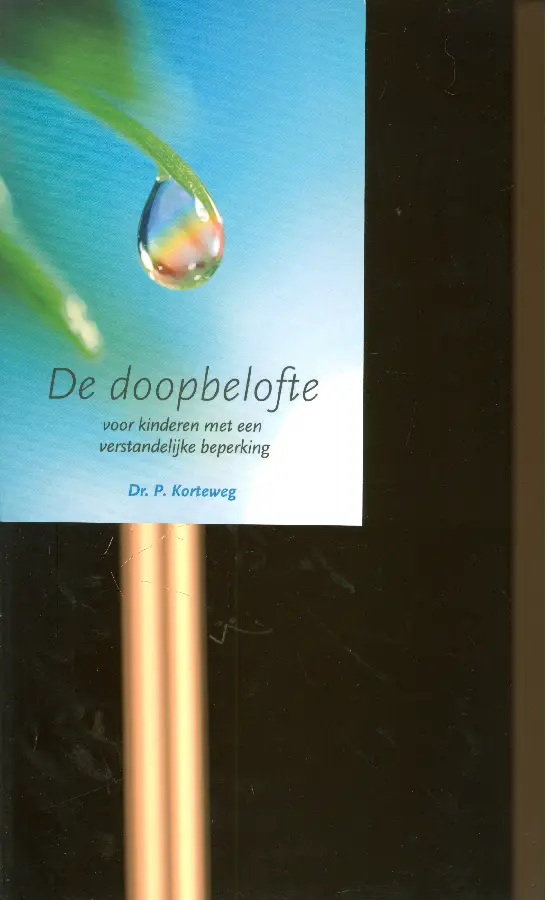 Doopbelofte v kinderen met verst. beperk