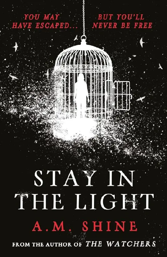 Stay in the Light