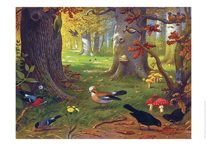 Schoolplaat Boschvogels