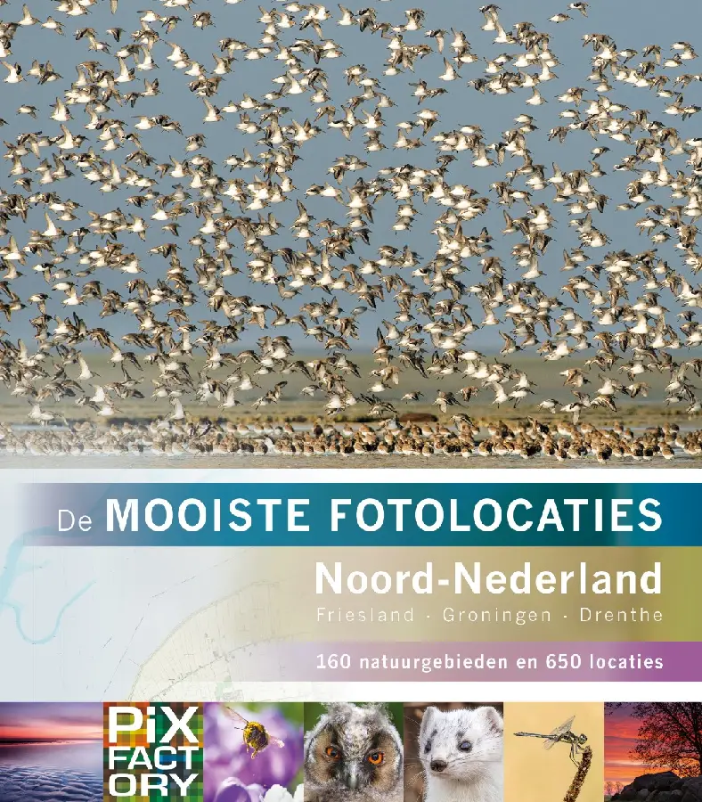 Noord-Nederland