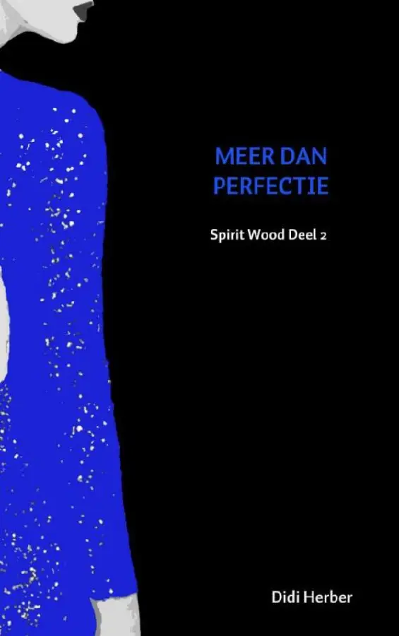 Meer dan perfectie
