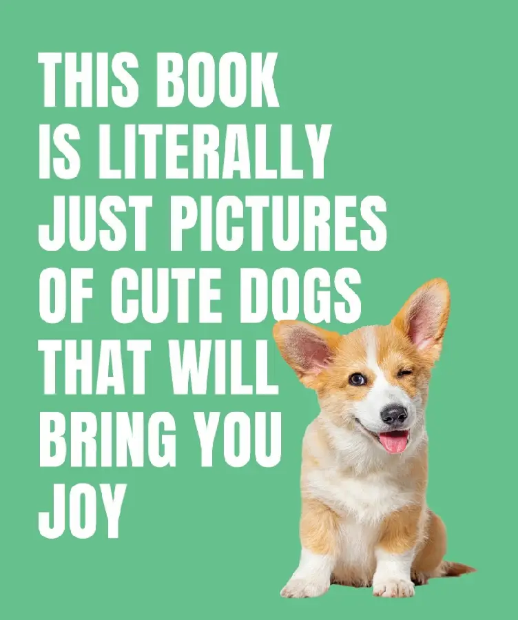 This Book is Literally Just Cute Dogs That Will Bring You Joy