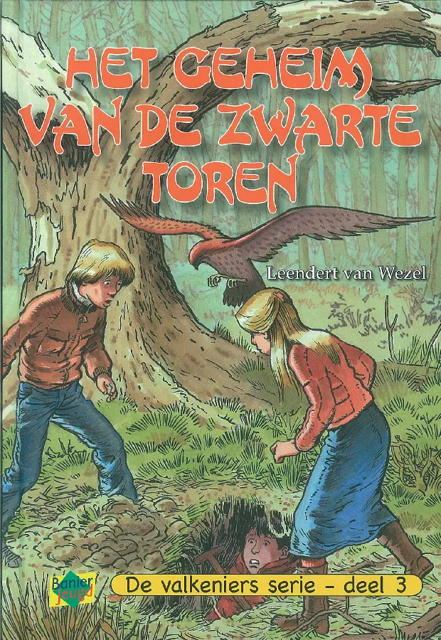 Het geheim van de zwarte toren - eBoek