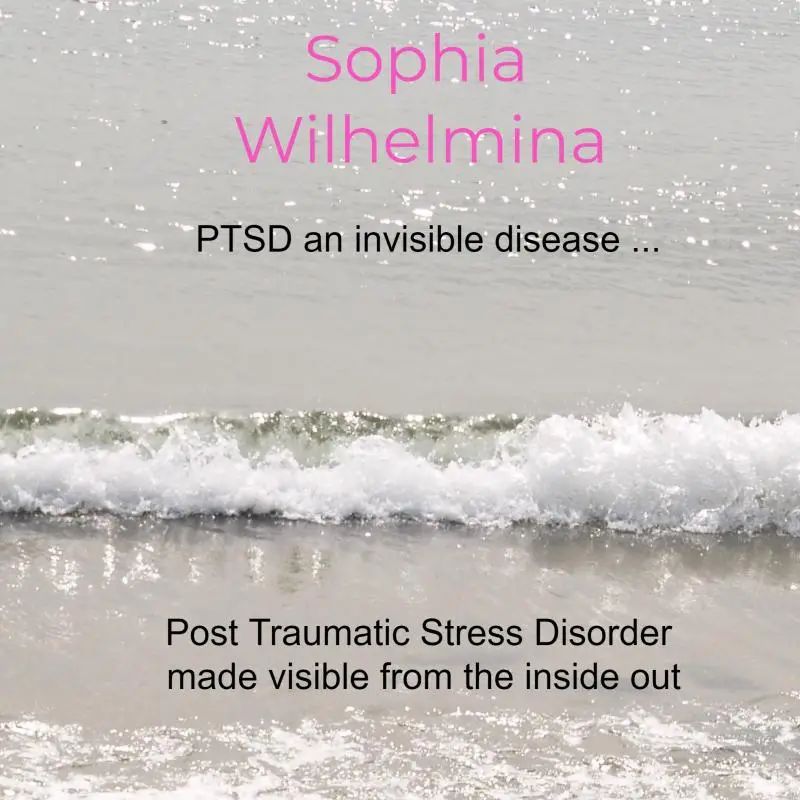 PTSD an invisible disease ...