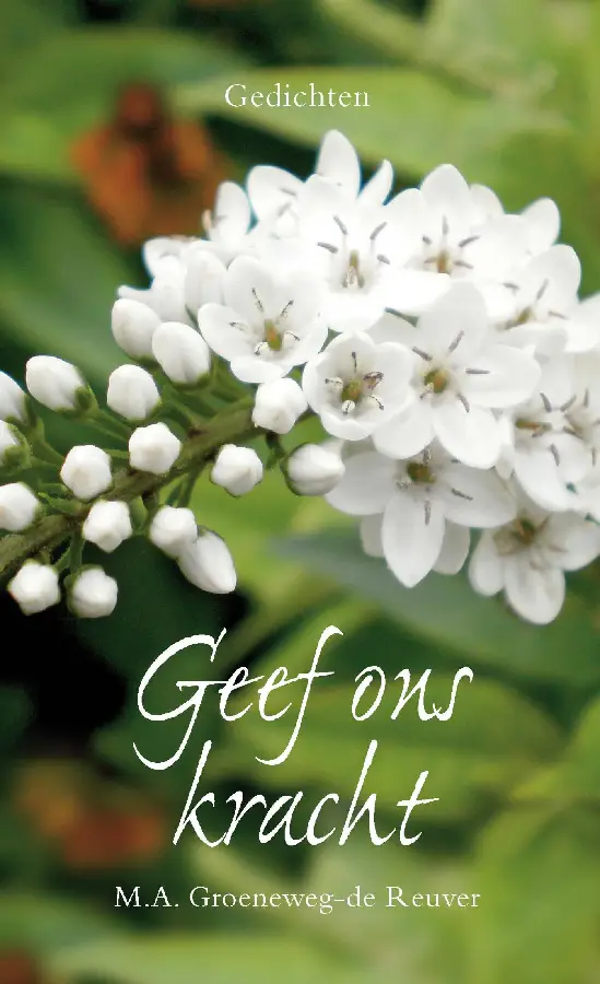 Geef ons kracht - eBoek