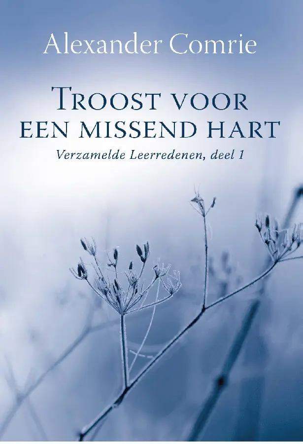 Troost voor een missend hart - eBoek