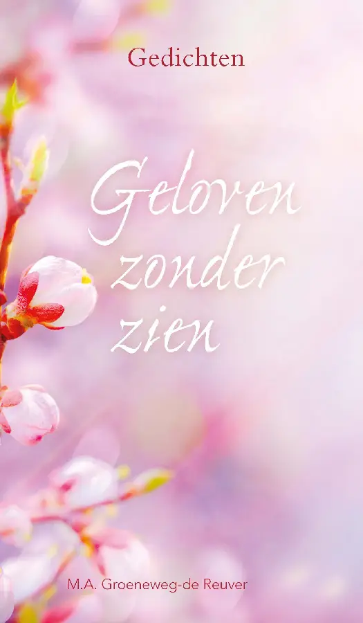 Geloven zonder zien - eBoek