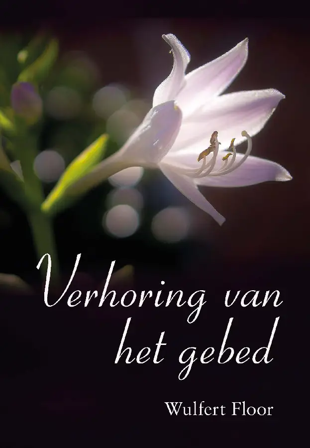 Verhoring van het gebed - eBoek