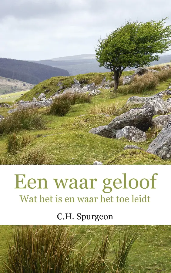 Een waar geloof - eBoek