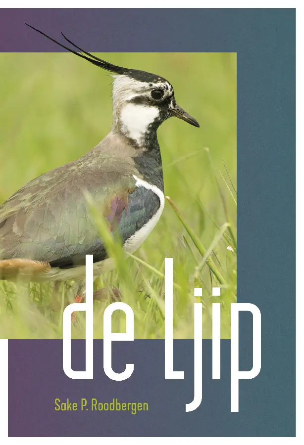 De Ljip