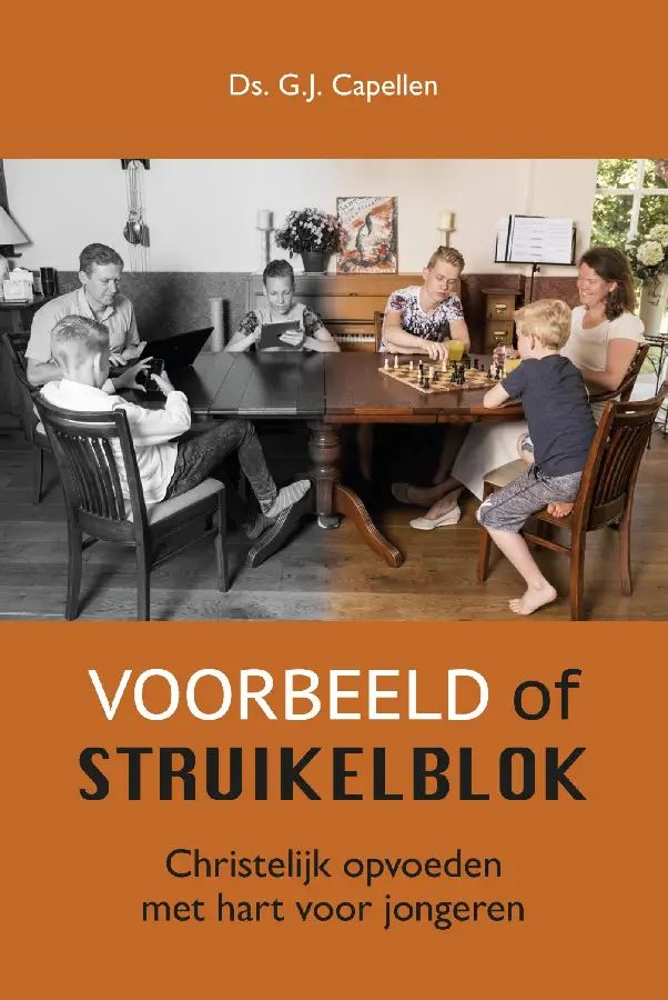 Voorbeeld of struikelblok - eBoek
