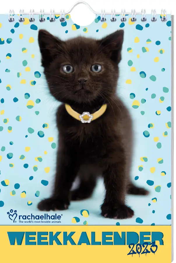 Rachael Hale Kat weekkalender / 2023
