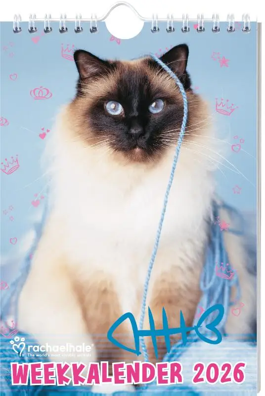 Rachael Hale Katten weekkalender 2026