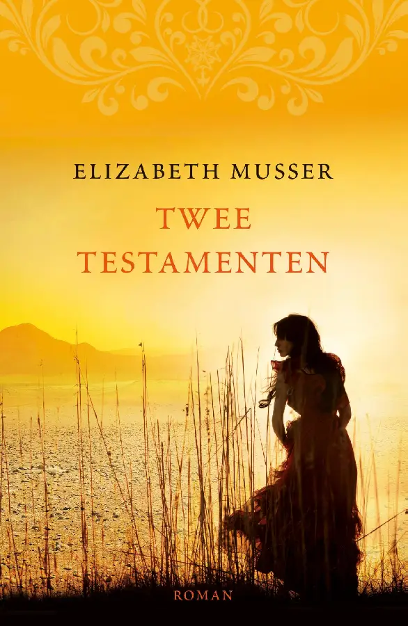 Twee testamenten - eBoek
