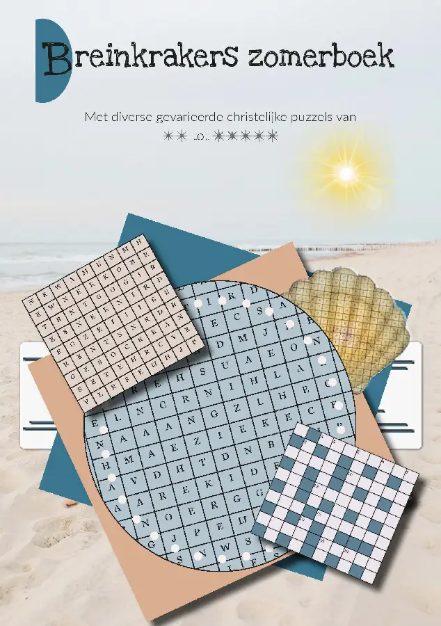 Breinkrakers zomer puzzelboek - 5 ex.