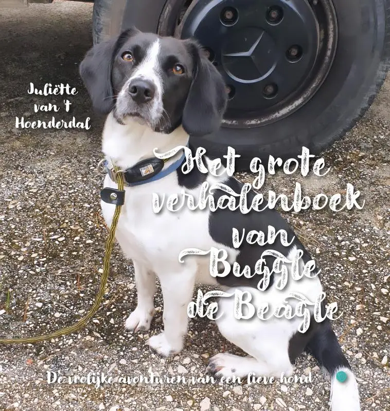 Het grote verhalenboek van Buggle de Beagle