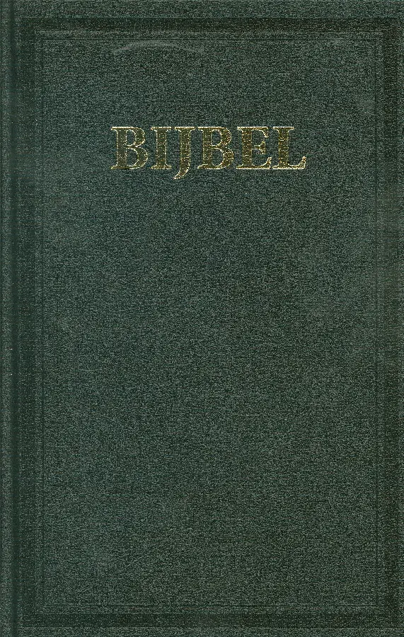 Huisbijbel M40G goudsnee (Minor)