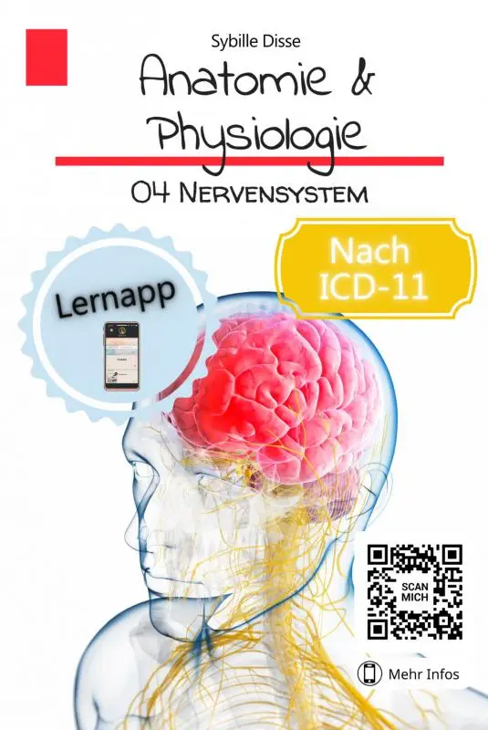 Anatomie & Physiologie Band 04: Nervensystem