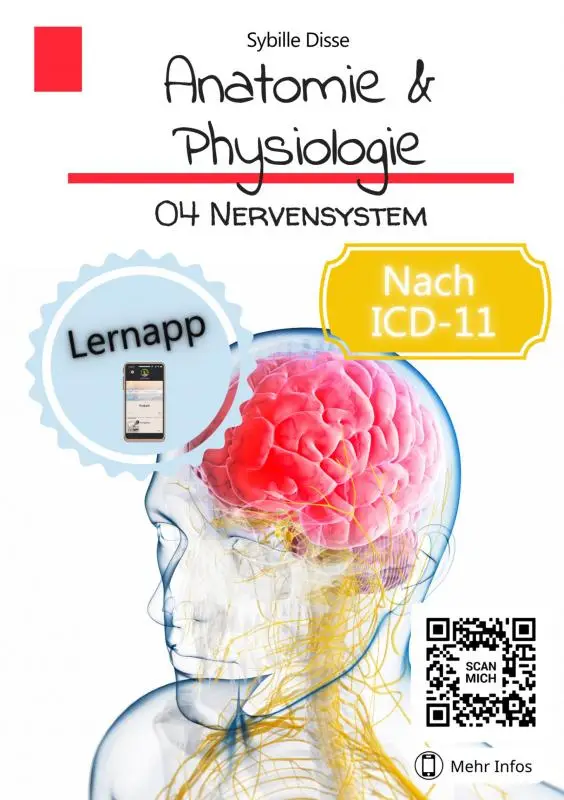 Anatomie & Physiologie Band 04: Nervensystem