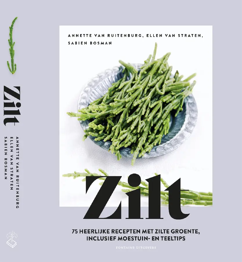 Zilt