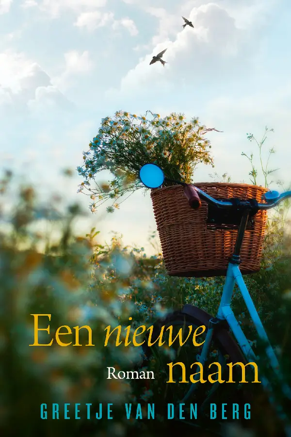 Een nieuwe naam - eBoek