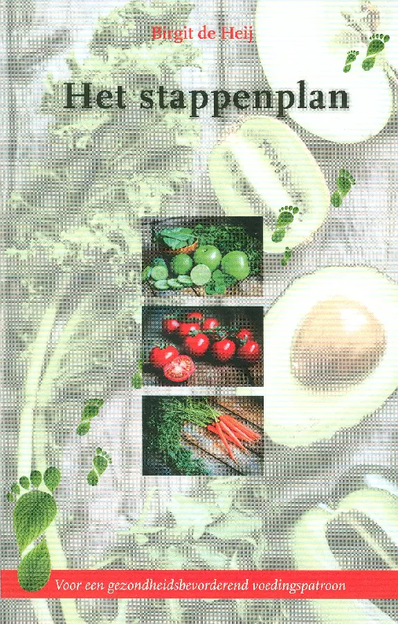 Het stappenplan