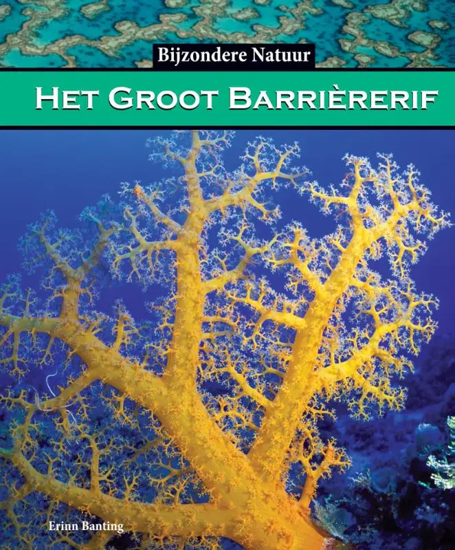 Het groot barriererif