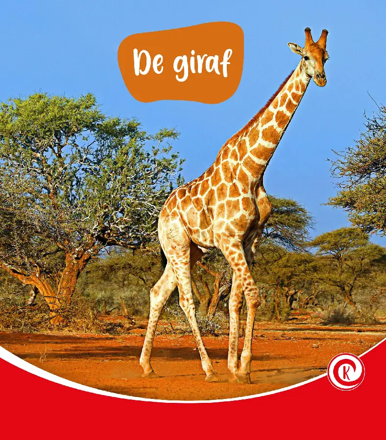 De giraf