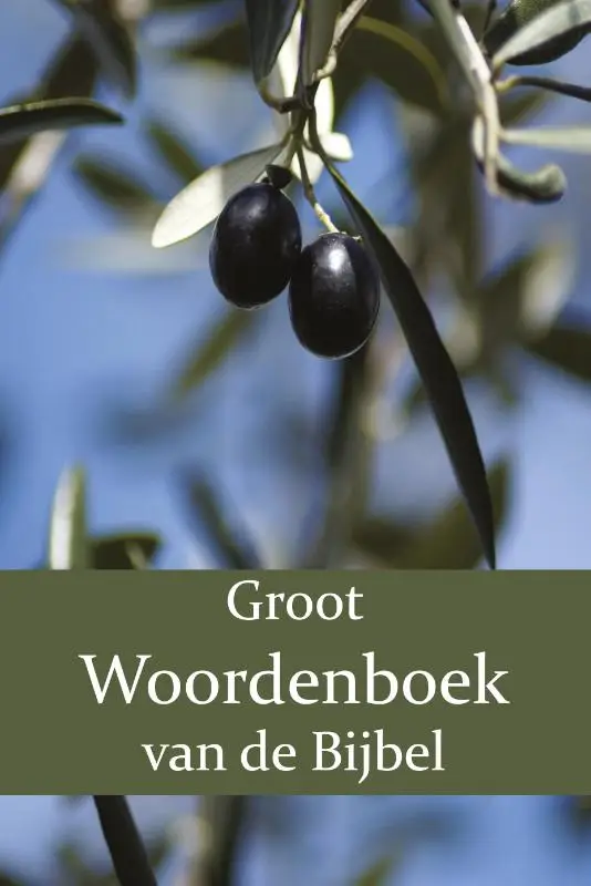 Groot Woordenboek van de Bijbel 3  O-Z