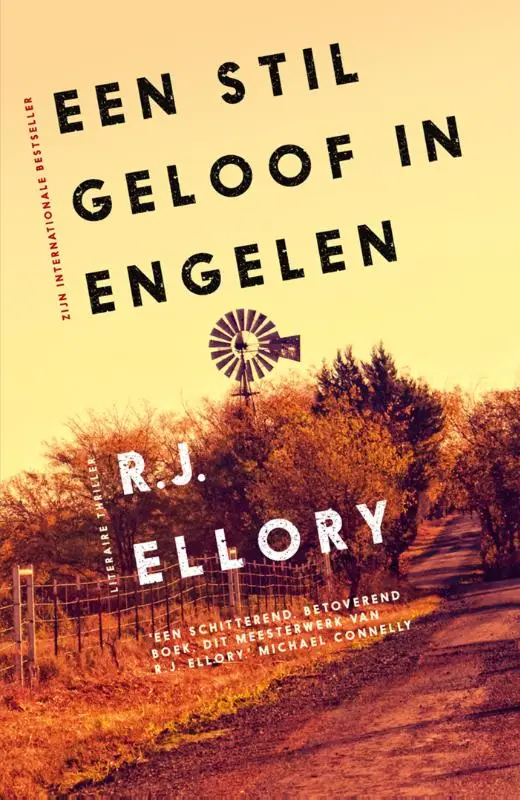 Een stil geloof in engelen