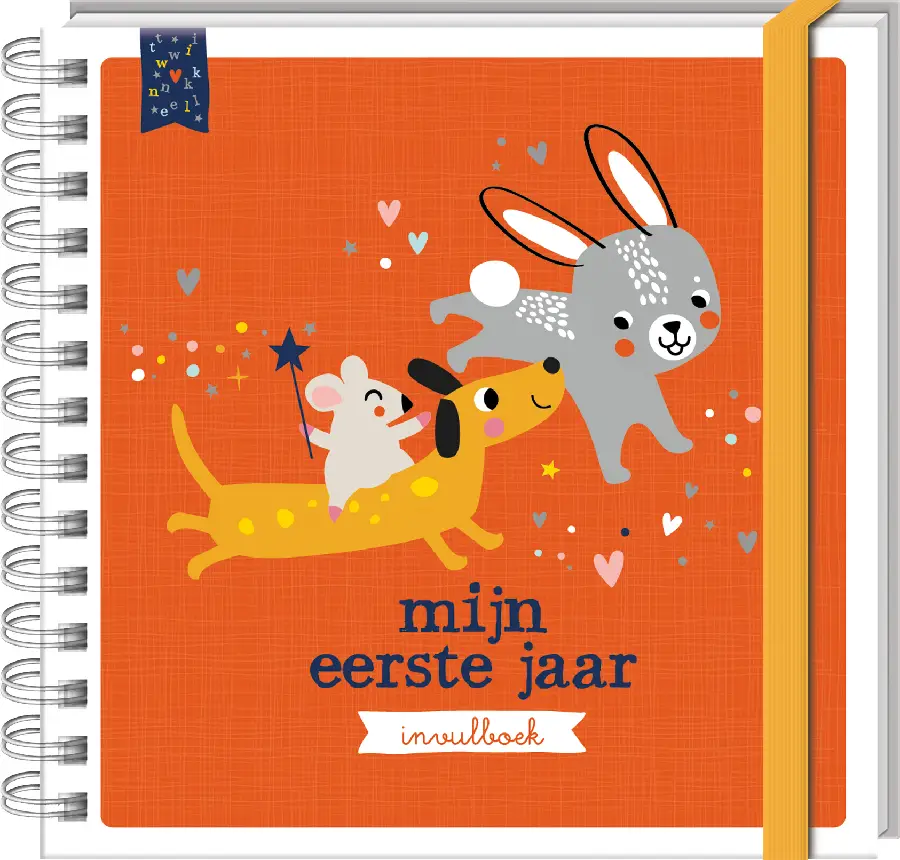 Baby's eerste jaar